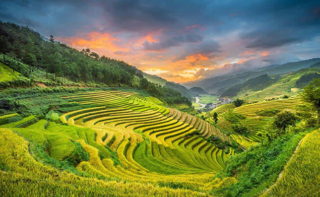 Lai Chau
