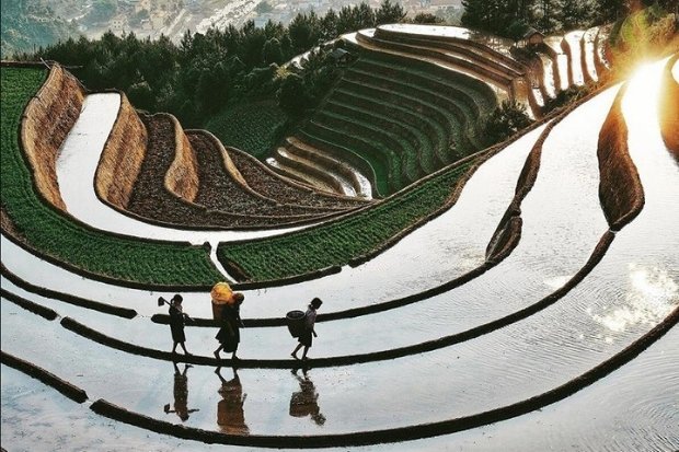 Hoang Su Phi