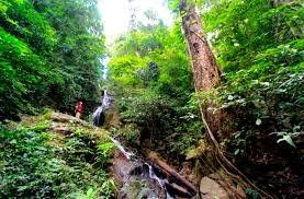 Phou Louey Mountain
