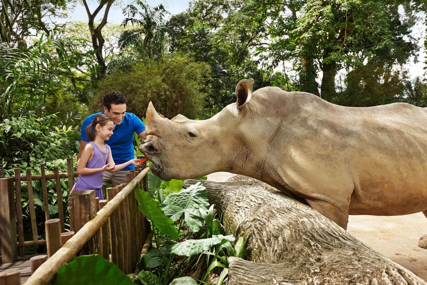 Singapore Zoo