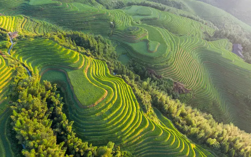 Longsheng