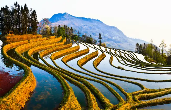 Yuanyang