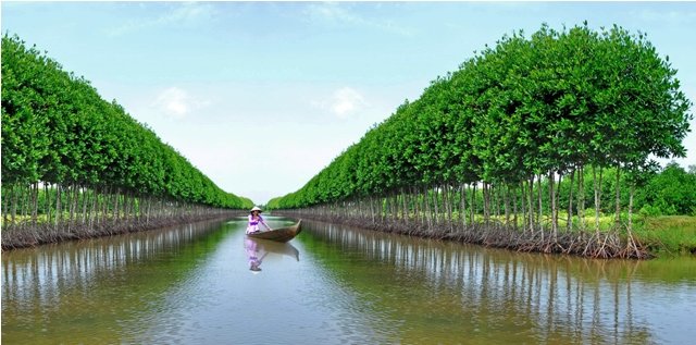Ca Mau Vietnam Travel Guide