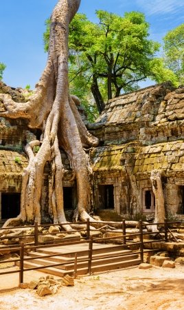 Cambodia