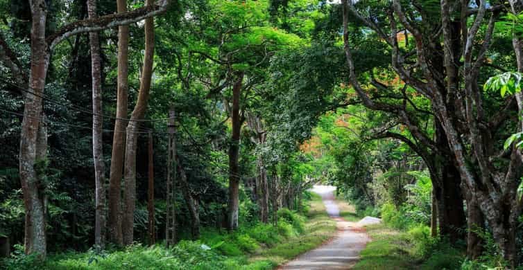Cuc Phuong National Park Tours