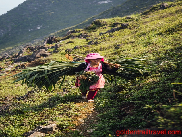 The Miraculous Tour of Ha Giang Trekking 10 Days