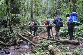 Nam Ha National Park