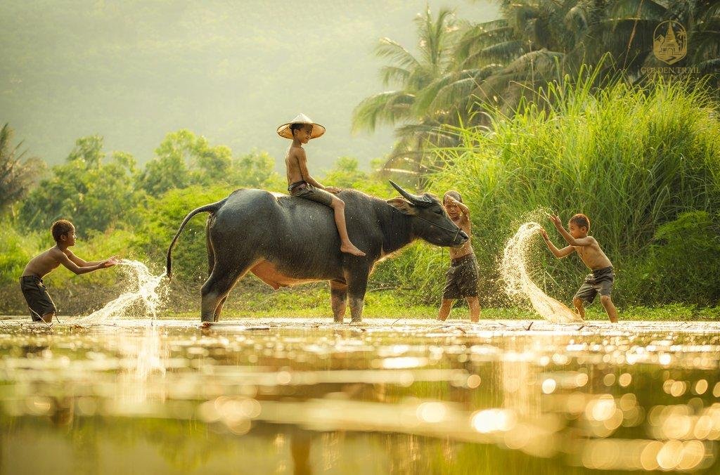 Exploring UNESCO World Heritage Sites in Vietnam: A Journey Through Time and Culture
