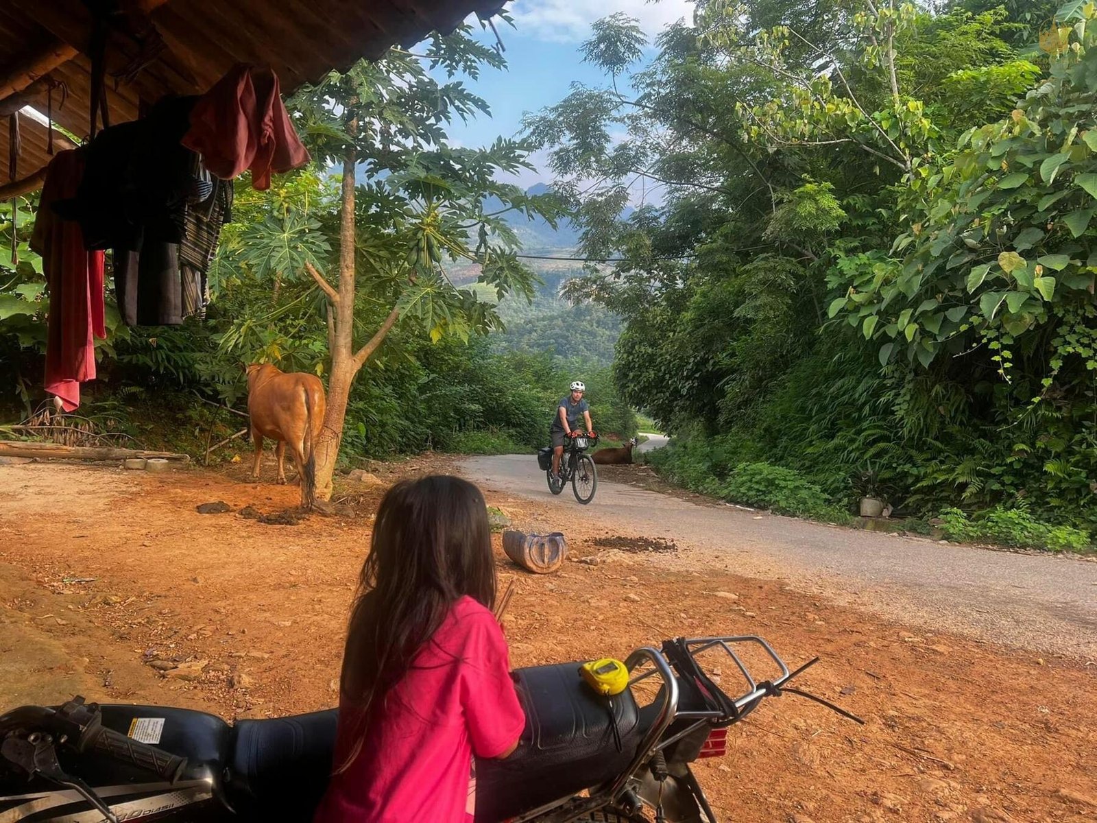 Ethnic Minority Villages in Vietnam: A Journey into the Heart of Traditional Culture
