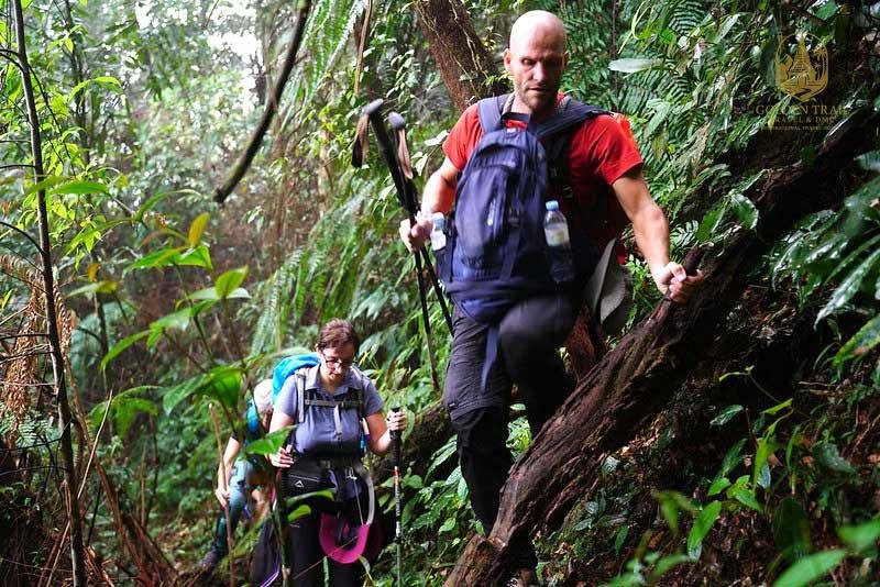 Trekking Tour Vietnam: Your Ultimate Adventure Awaits