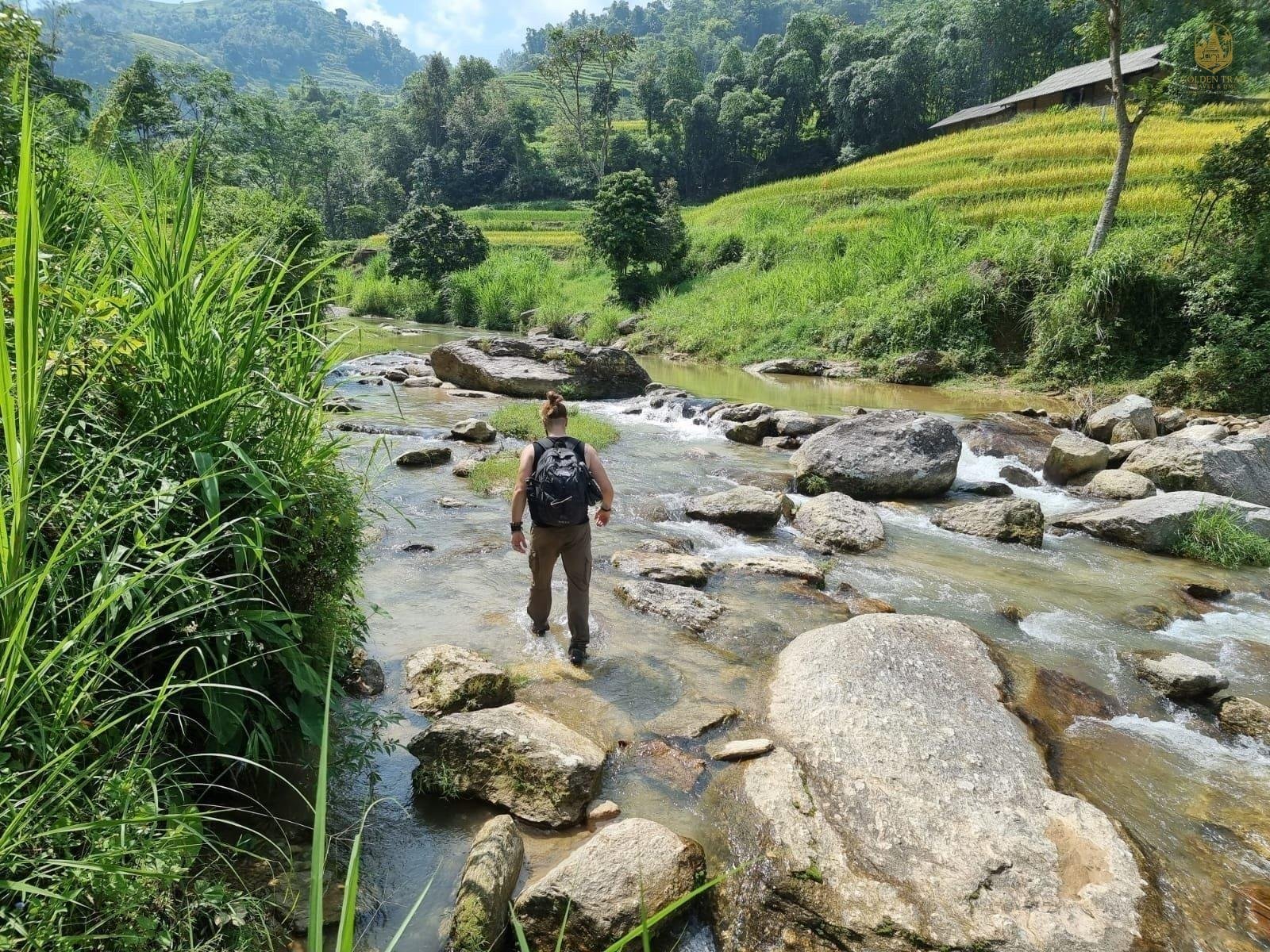 A Tapestry of Gold and Green: The Ultimate Guide to Hoang Su Phi Trekking