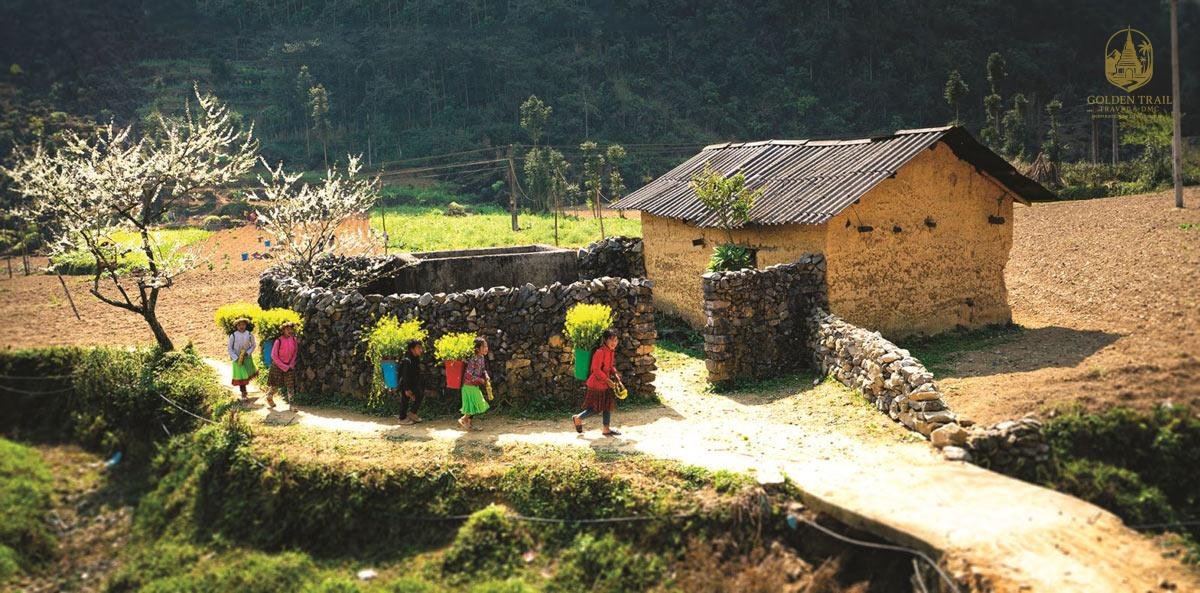 Discover the Soul of Vietnam: Your Ultimate Guide to an Ethnic Village Trek in Ha Giang