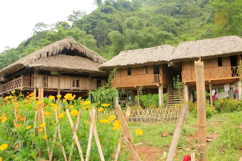 A Timeless Residence: A Guide to Tay Stilt Houses and the Ha Giang Homestay Experience