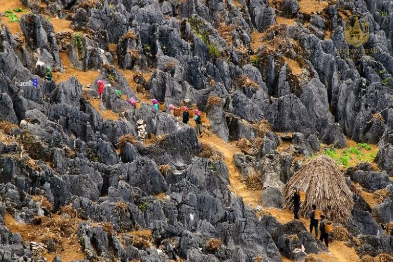 The Earth's Epic Poem: A Journey Through Time on a Ha Giang Geological Tour