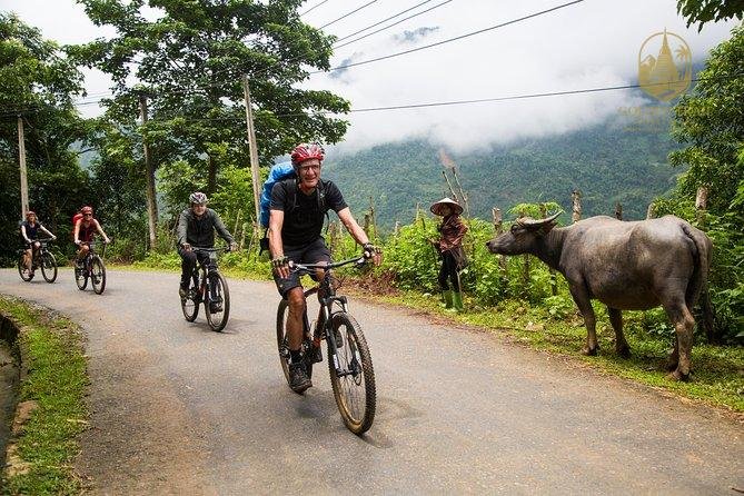 Cycling Vietnam North to South: An Epic Journey of Discovery and Conquest