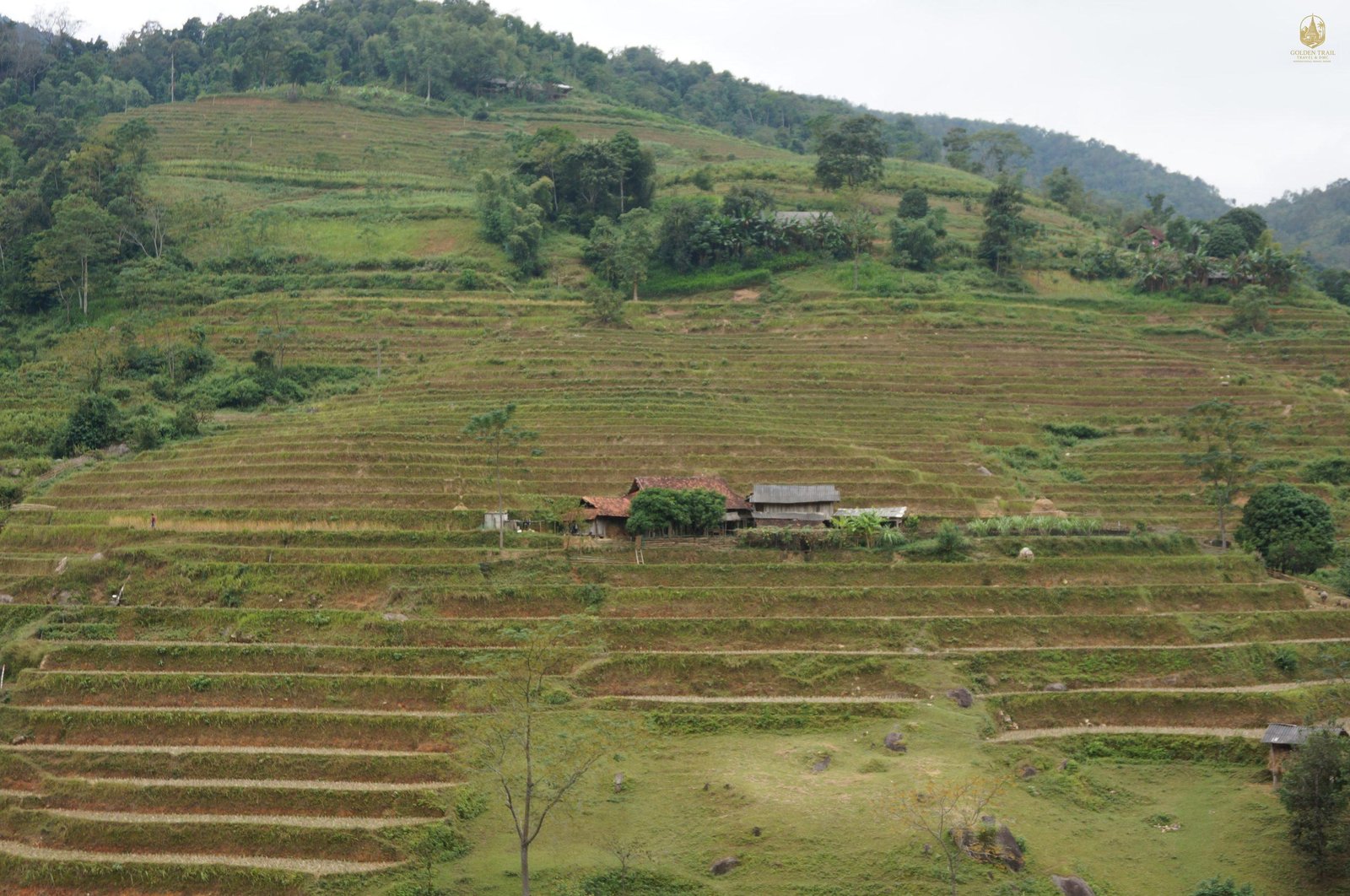 10-Day Ha Giang Loop & Hoang Su Phi Cycling Adventure | Ultimate ...