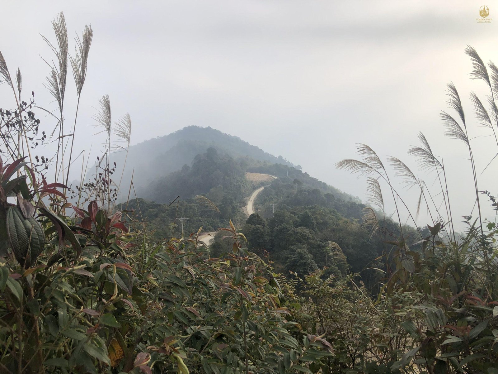10-Day Ha Giang Loop & Hoang Su Phi Cycling Adventure | Ultimate ...