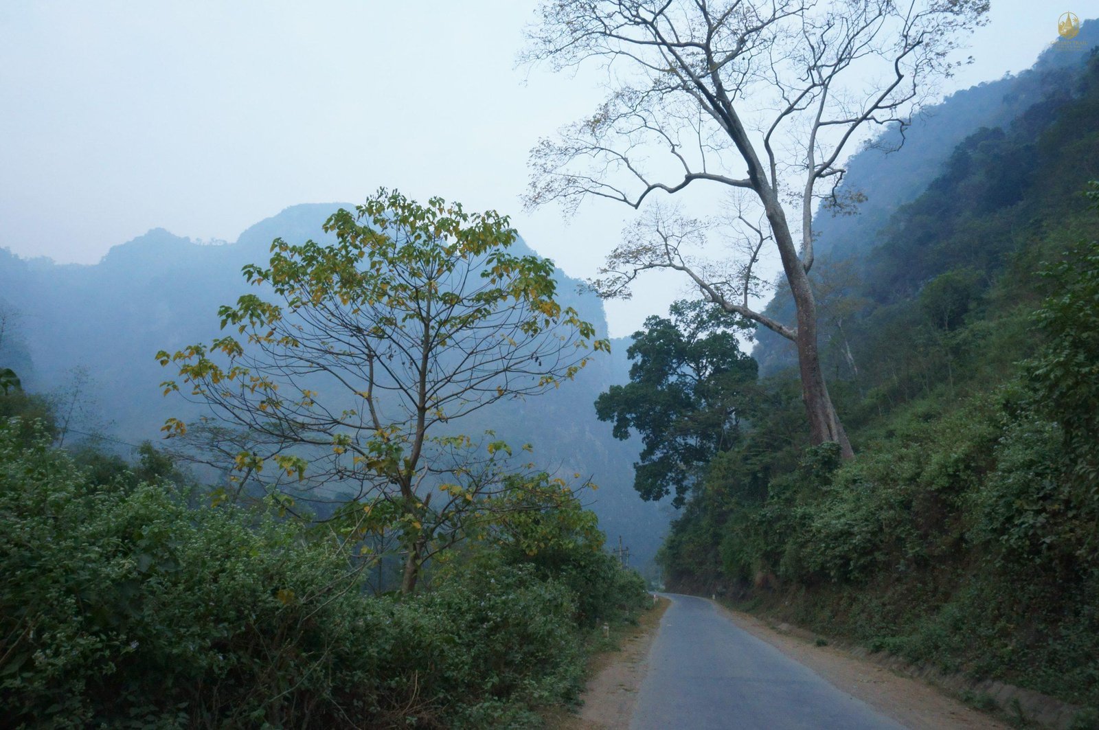 Vietnam Mountain Biking: The Ultimate Guide to Trails, Peaks, Culture & Adventure