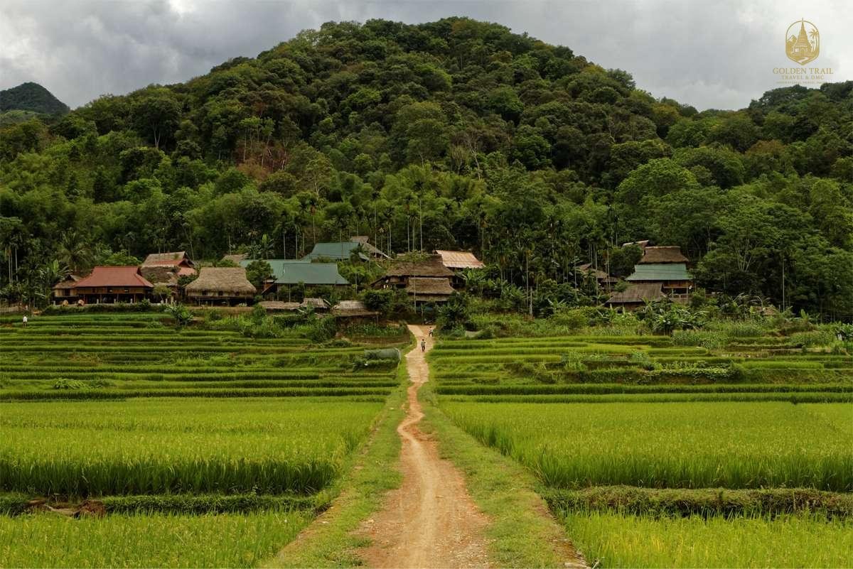 Pu Luong Single Tracks: The Ultimate Guide to Mountain Trails, Hidden Villages, and Adventure Cycling in Vietnam