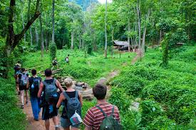 Cuc Phuong National Park Trekking