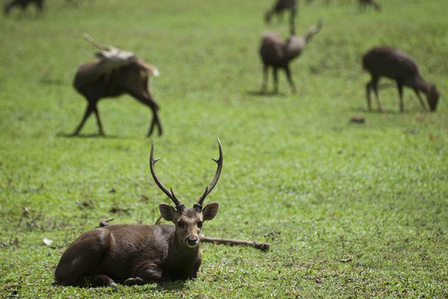 Myanmar Eco Tour 7 Days