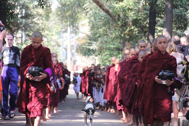 Myanmar Nature Wonder 11 Days