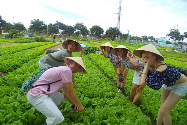 Vietnam North to South Student Tour 10 Days