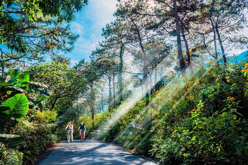 Ba Vi National Park Trekking