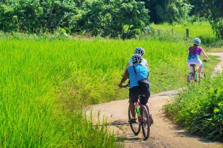 Bangkok Biking To Vientiane 7 Days