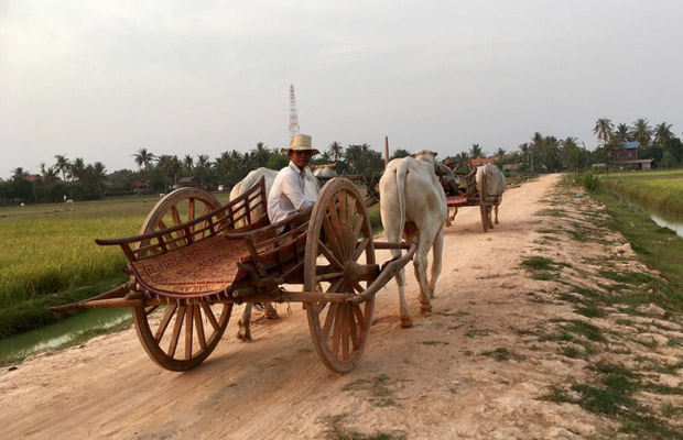 Beautiful Sunset with Ox Cart Adventure Tour 2 Hours