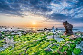 Binh Thuan Vietnam Travel Guide