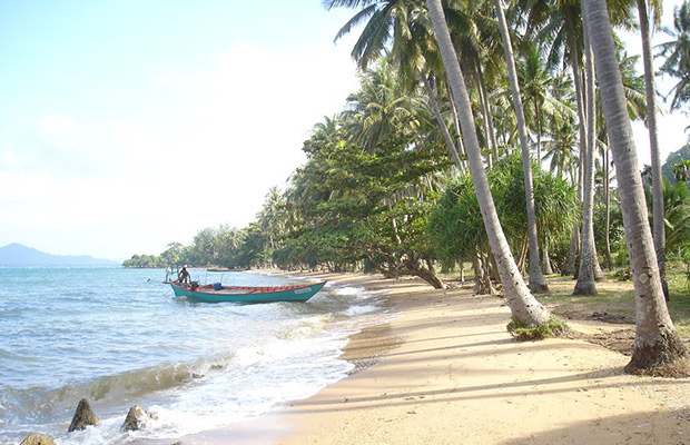 Countryside Rabbit Island Tour Full-Day
