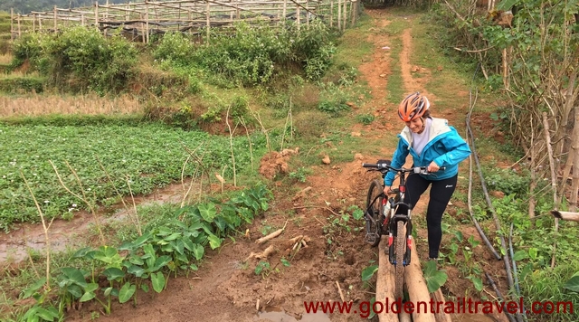 Hanoi Adventure Cycling To Luang Prabang 12 Days