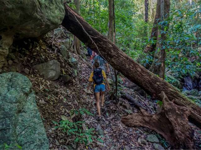 Hiking Vietnam Central Highlands 7 Days