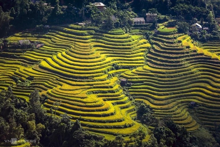 Hoang Su Phi Ha Giang Travel Guide