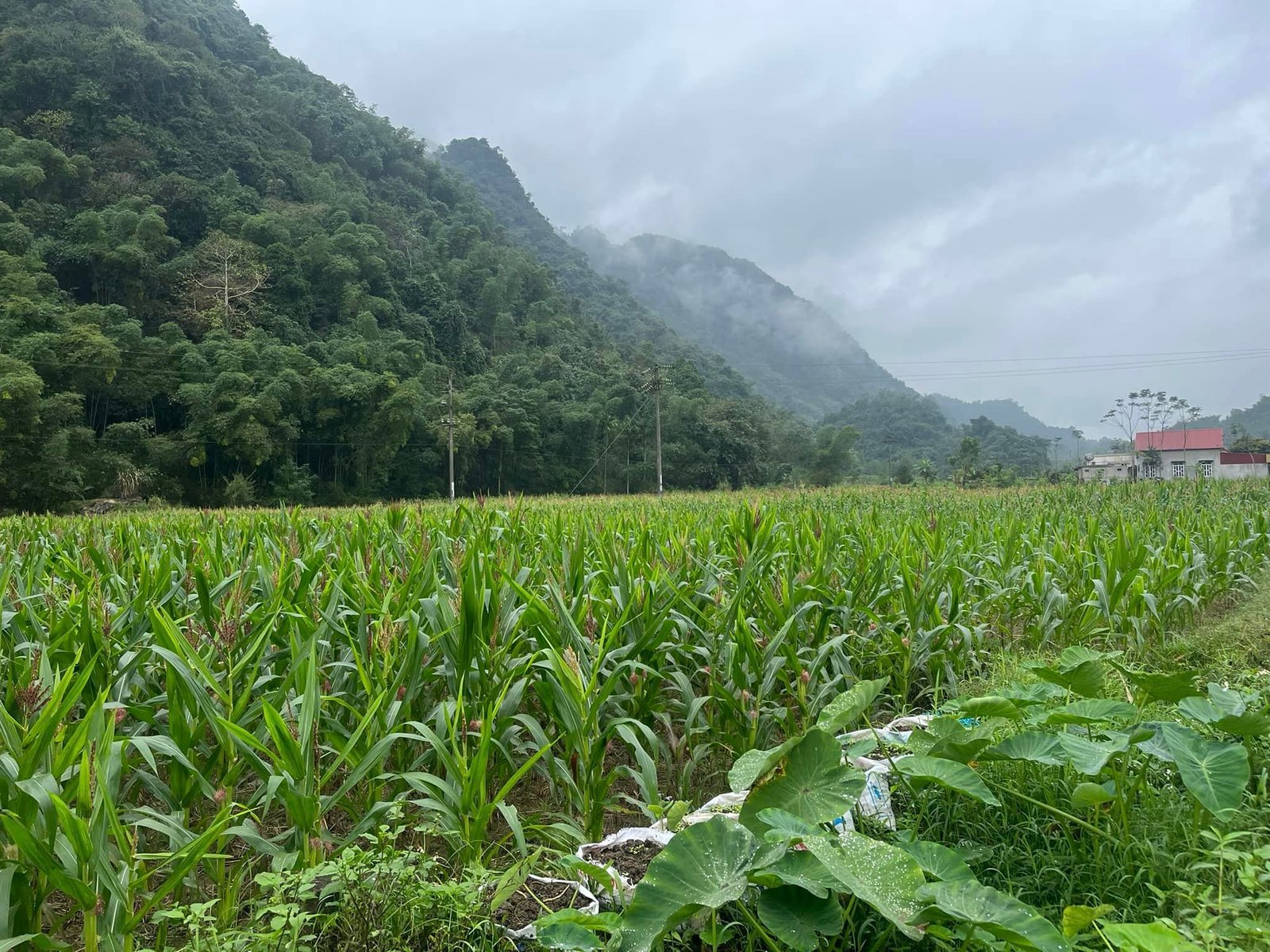Hoanh Bo Quang Ninh Travel Guide