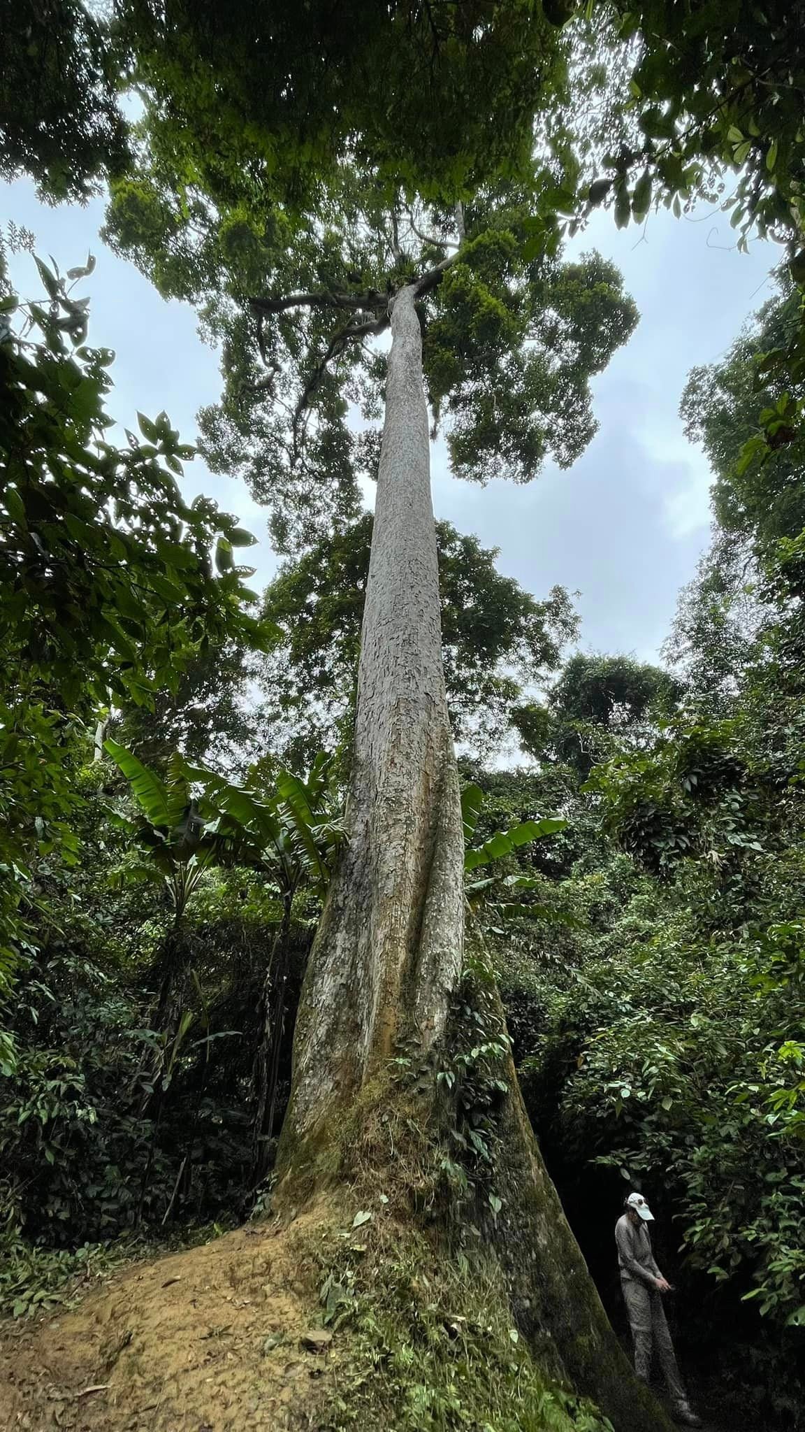 Nam Po Dien Bien
