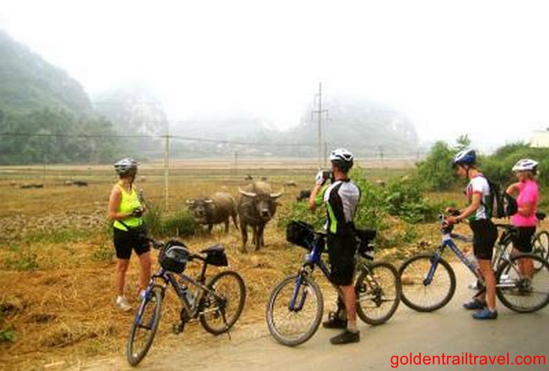 Family Cycling Tour in Northern Vietnam 12 Days