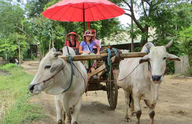 Ox-Cart Riding Tour Through Villages in Countryside Full-Day