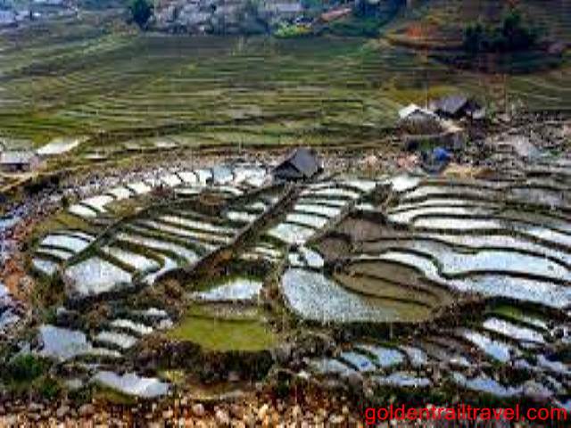 Sapa 3 Day Trek Ban Sai, Sin Chai Village Route