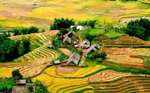 Cozy Sapa and Scenic Halong Bay in 7 Days