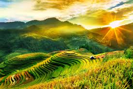 Trekking Sapa Guide