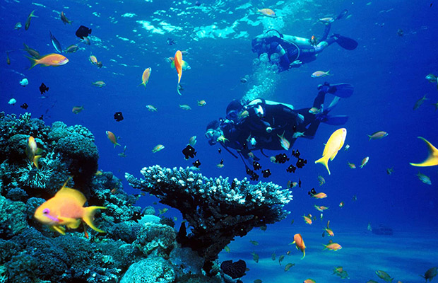 Snorkeling Tour at Koh Rong Samloem Island Full Day