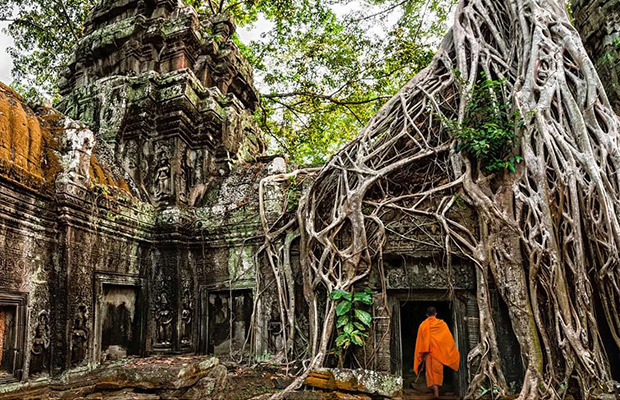 Ta Prohm and Banteay Kdei Temple Tour Half-Day