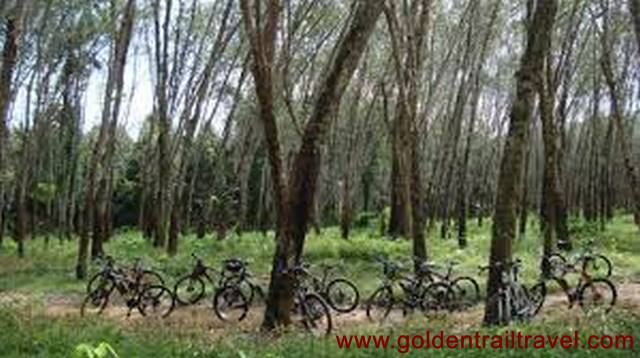 Thailand Cycle To Laos and Cambodia 41 Days