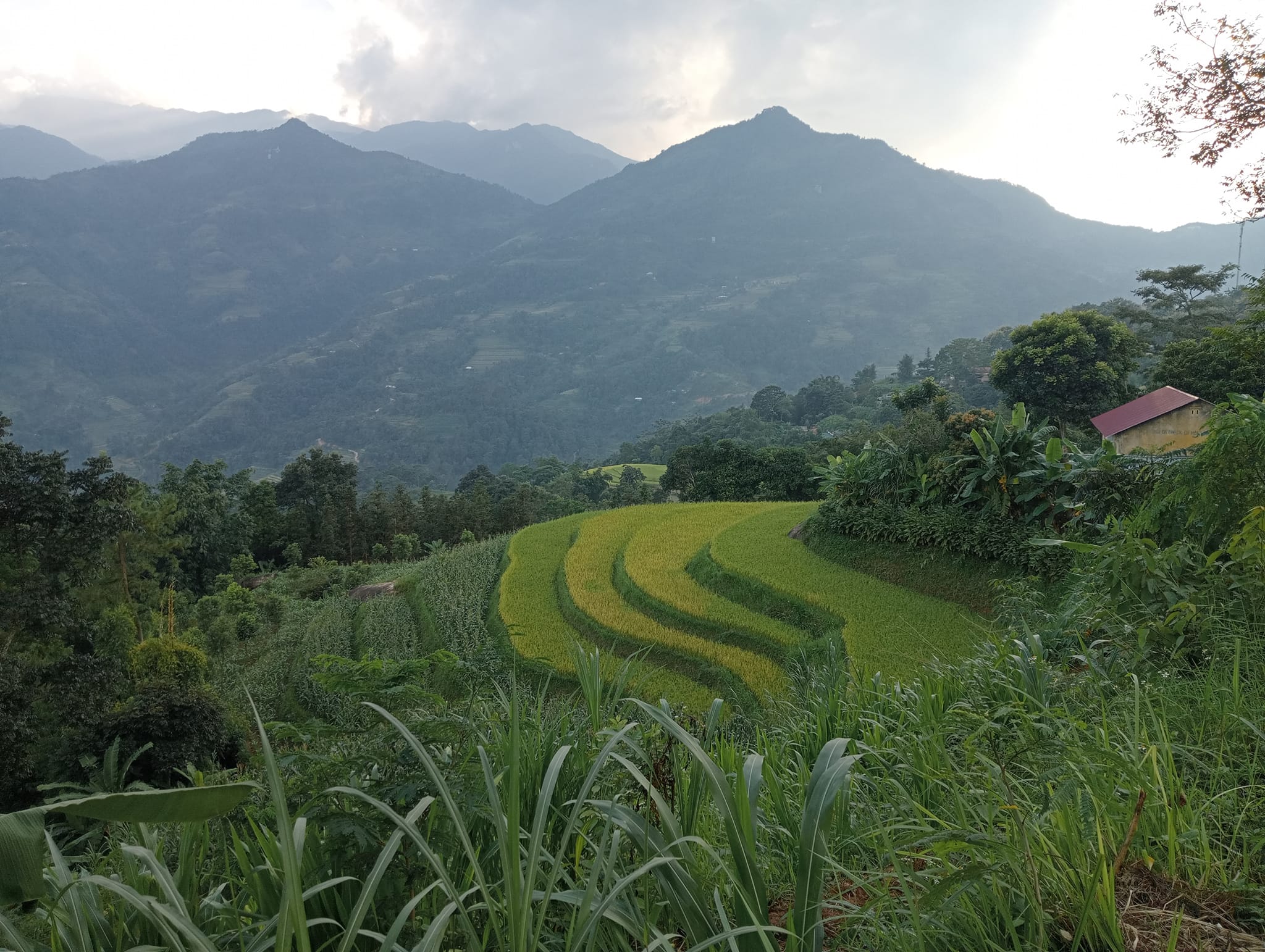 Trekking around Hanoi Travel