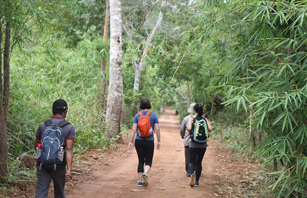 Trekking Day Tour at Kirirom National Park to Cardamom Mountain 1 Day