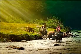 Trekking North East Vietnam